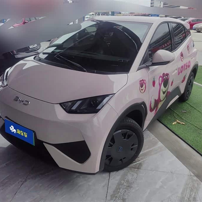 Seagull 2025 305km Vitality Edition Seagull 2025 305km Vitality Edition