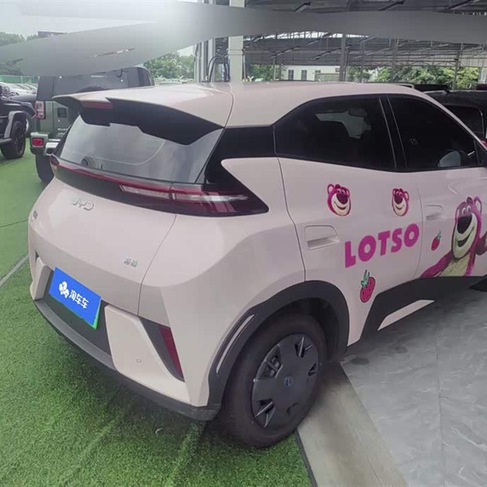 Seagull 2025 305km Vitality Edition Seagull 2025 305km Vitality Edition