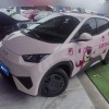 Seagull 2025 305km Vitality Edition