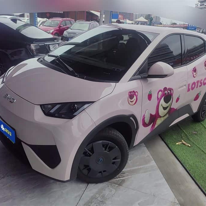 Seagull 2025 305km Vitality Edition