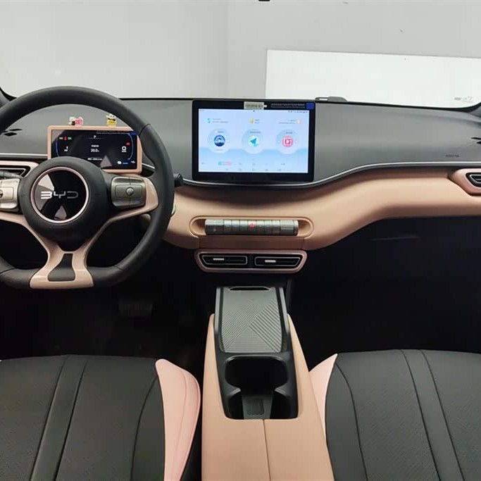 Seagull 2025 305km Vitality Edition Seagull 2025 305km Vitality Edition