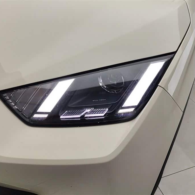 Seagull 2025 305km Vitality Edition Seagull 2025 305km Vitality Edition