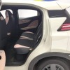 Seagull 2025 305km Vitality Edition