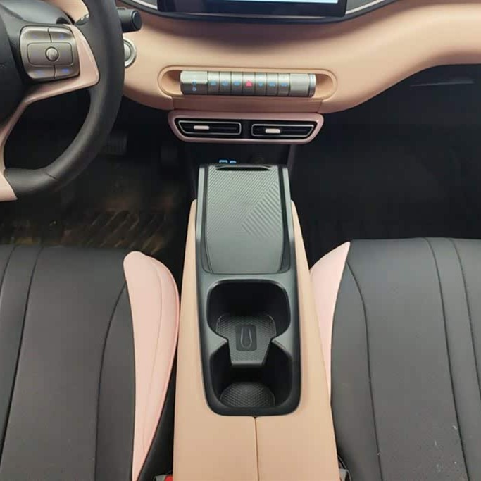 Seagull 2025 305km Vitality Edition Seagull 2025 305km Vitality Edition