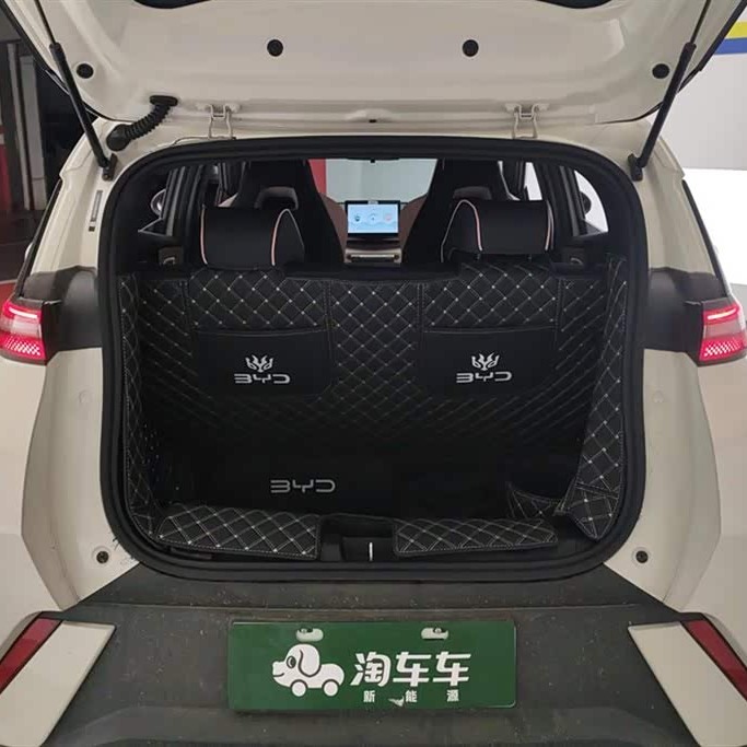 Seagull 2025 305km Vitality Edition Seagull 2025 305km Vitality Edition