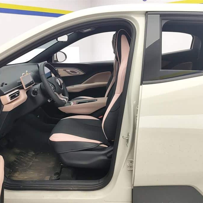Seagull 2025 305km Vitality Edition Seagull 2025 305km Vitality Edition