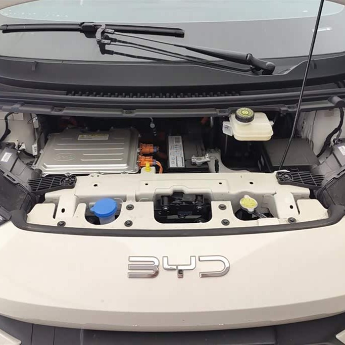 Seagull 2025 305km Vitality Edition Seagull 2025 305km Vitality Edition