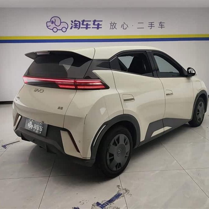 Seagull 2025 305km Vitality Edition Seagull 2025 305km Vitality Edition