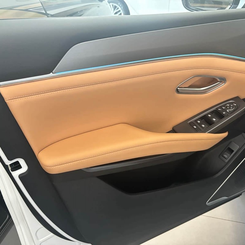 Song L DM-i 2024 model 112km surpassing model Song L DM-i 2024 model 112km surpassing model