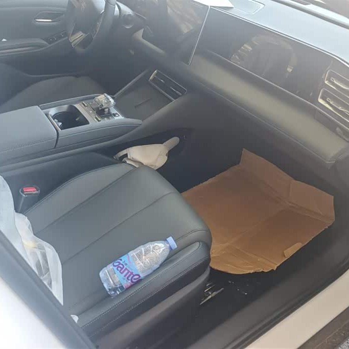 Qin L 2024 DM-i 80KM Beyond Edition Qin L 2024 DM-i 80KM Beyond Edition