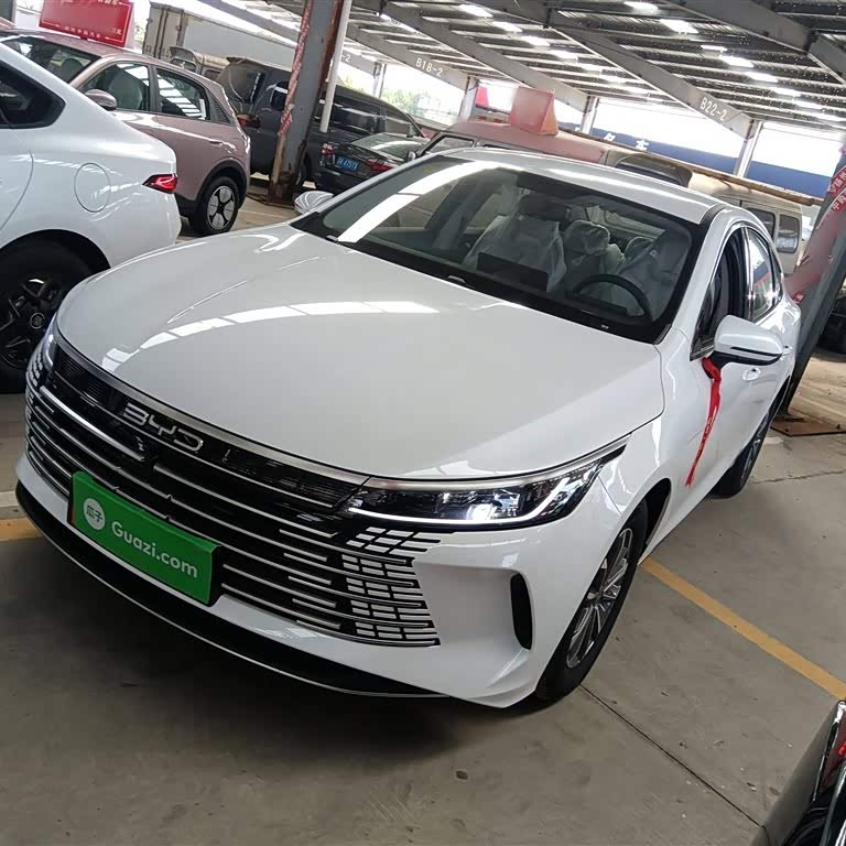 Destroyer 05 2024 Glory Edition DM-i 55KM Luxury Model Destroyer 05 2024 Glory Edition DM-i 55KM Luxury Model