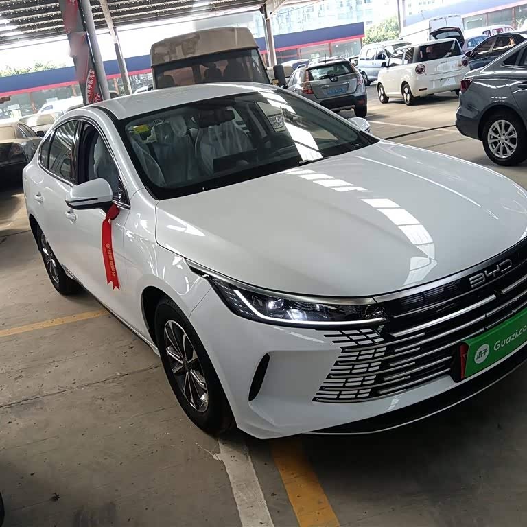 Destroyer 05 2024 Glory Edition DM-i 55KM Luxury Model Destroyer 05 2024 Glory Edition DM-i 55KM Luxury Model