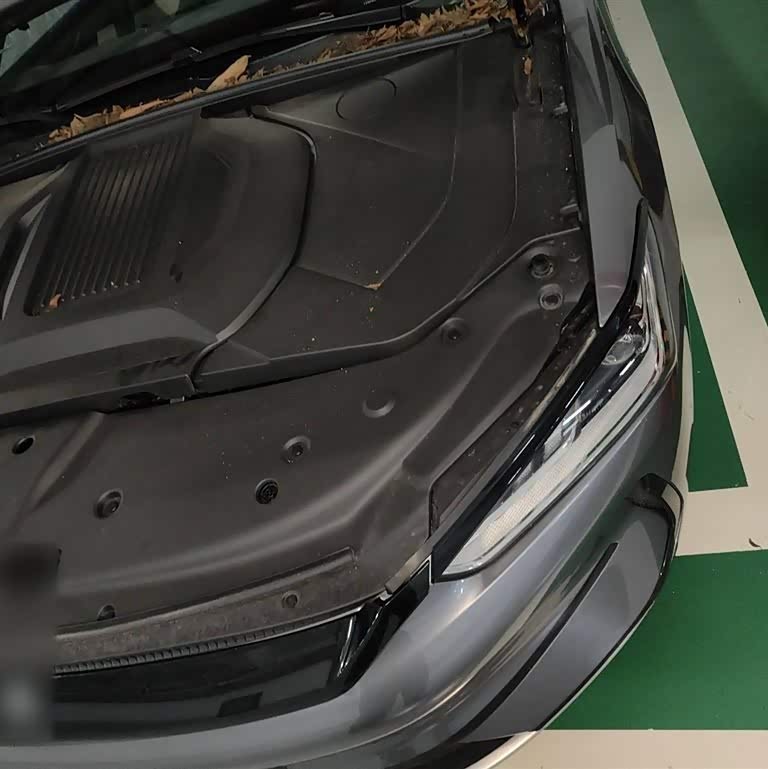 Qin PLUS 2023 Champion Edition EV 420KM Leading Edition Qin PLUS 2023 Champion Edition EV 420KM Leading Edition