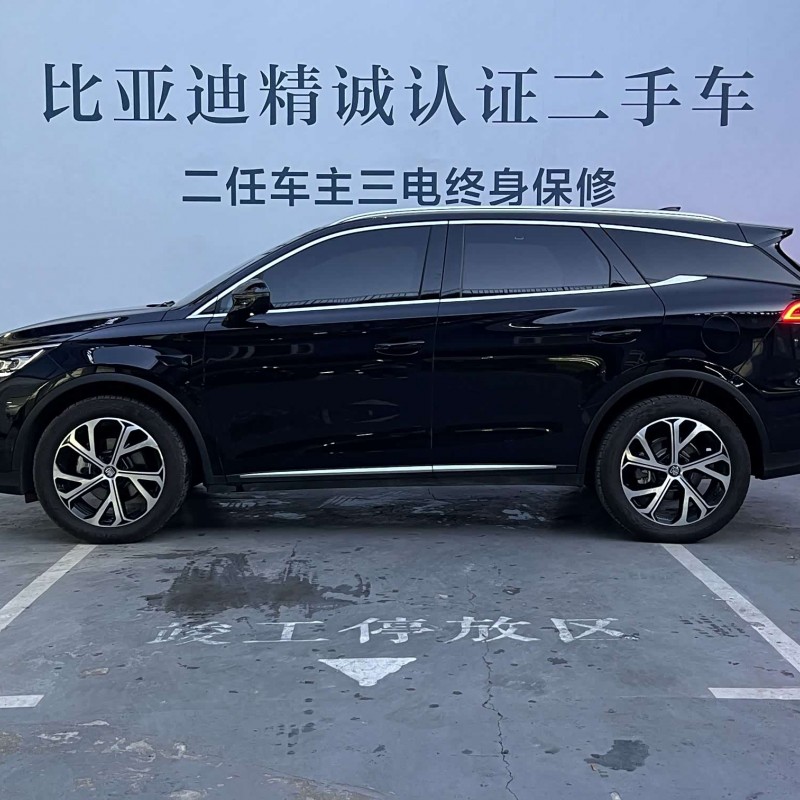 Tang New Energy 2025 DM-i Intelligent Driving Edition 115KM Flagship Model Tang New Energy 2025 DM-i Intelligent Driving Edition 115KM Flagship Model