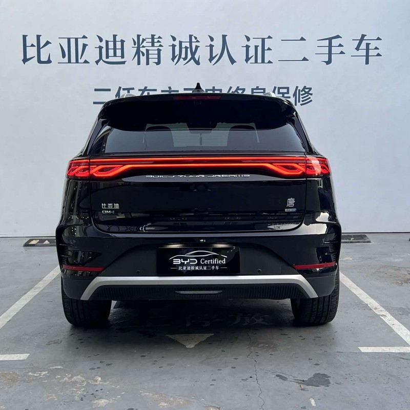 Tang New Energy 2025 DM-i Intelligent Driving Edition 115KM Flagship Model Tang New Energy 2025 DM-i Intelligent Driving Edition 115KM Flagship Model