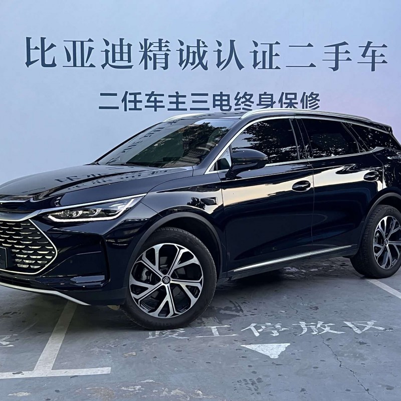 Tang New Energy 2025 DM-i Intelligent Driving Edition 115KM Flagship Model Tang New Energy 2025 DM-i Intelligent Driving Edition 115KM Flagship Model