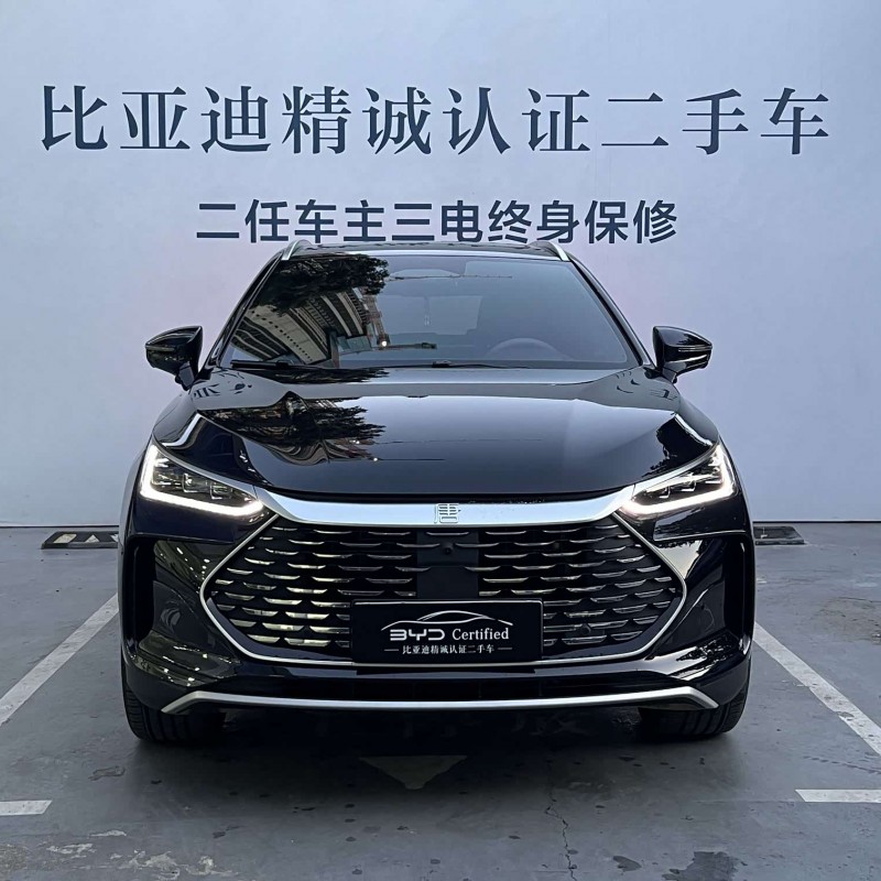 Tang New Energy 2025 DM-i Intelligent Driving Edition 115KM Flagship Model Tang New Energy 2025 DM-i Intelligent Driving Edition 115KM Flagship Model