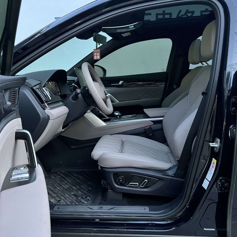 Tang New Energy 2025 DM-i Intelligent Driving Edition 115KM Flagship Model Tang New Energy 2025 DM-i Intelligent Driving Edition 115KM Flagship Model
