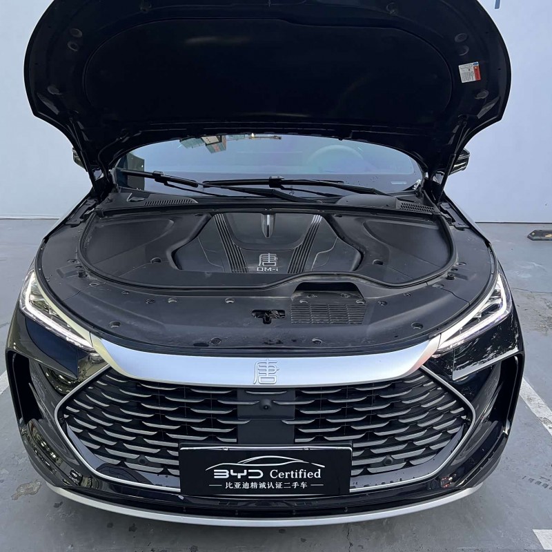 Tang New Energy 2025 DM-i Intelligent Driving Edition 115KM Flagship Model Tang New Energy 2025 DM-i Intelligent Driving Edition 115KM Flagship Model
