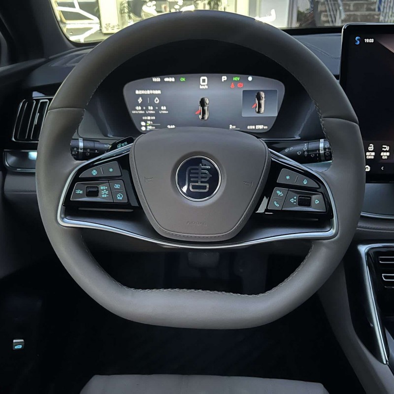 Tang New Energy 2025 DM-i Intelligent Driving Edition 115KM Flagship Model Tang New Energy 2025 DM-i Intelligent Driving Edition 115KM Flagship Model