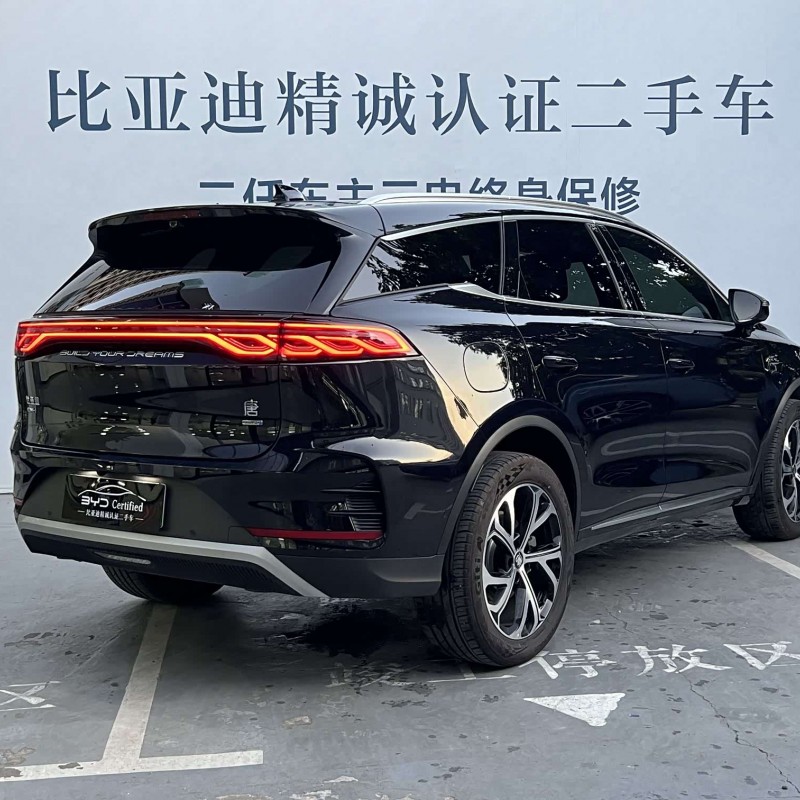 Tang New Energy 2025 DM-i Intelligent Driving Edition 115KM Flagship Model Tang New Energy 2025 DM-i Intelligent Driving Edition 115KM Flagship Model