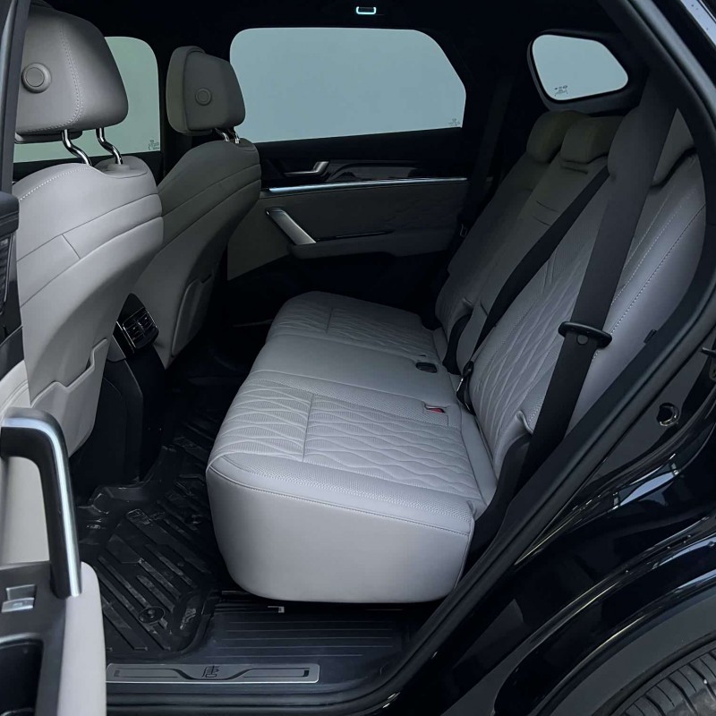 Tang New Energy 2025 DM-i Intelligent Driving Edition 115KM Flagship Model Tang New Energy 2025 DM-i Intelligent Driving Edition 115KM Flagship Model