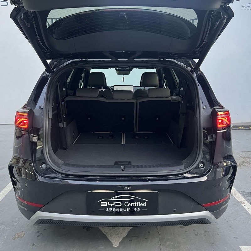 Tang New Energy 2025 DM-i Intelligent Driving Edition 115KM Flagship Model Tang New Energy 2025 DM-i Intelligent Driving Edition 115KM Flagship Model