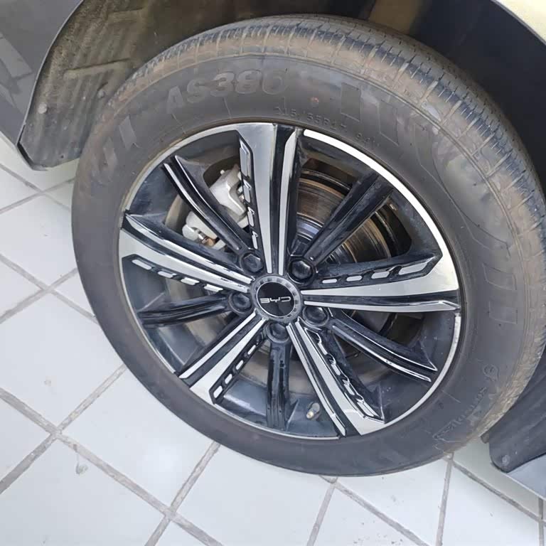 Destroyer 05 2023 Champion Edition DM-i 120KM Premium Destroyer 05 2023 Champion Edition DM-i 120KM Premium