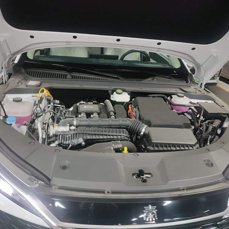 Qin L 2024 DM-i 80KM Beyond Edition Qin L 2024 DM-i 80KM Beyond Edition