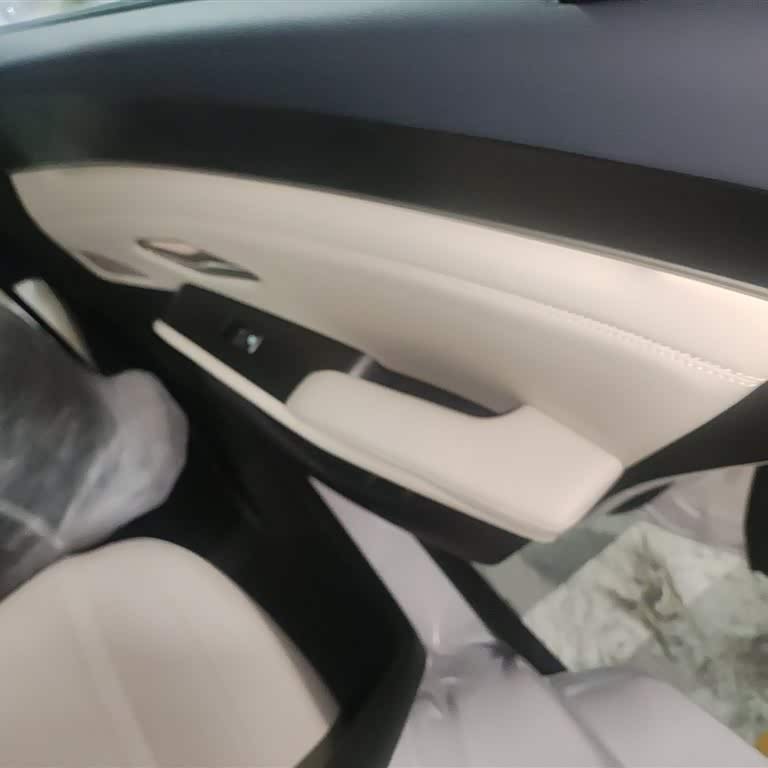 Qin L 2024 DM-i 80KM Beyond Edition Qin L 2024 DM-i 80KM Beyond Edition