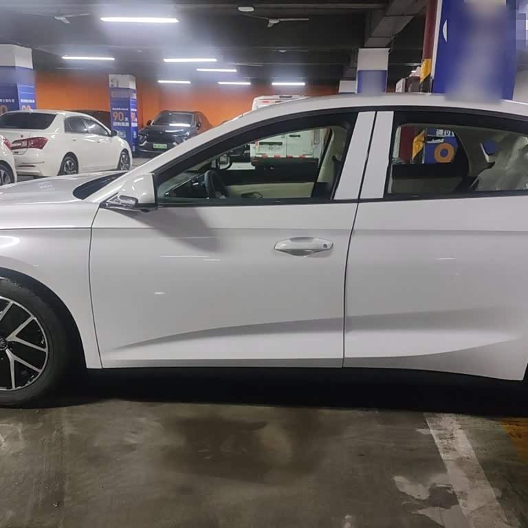 Qin L 2024 DM-i 80KM Beyond Edition Qin L 2024 DM-i 80KM Beyond Edition