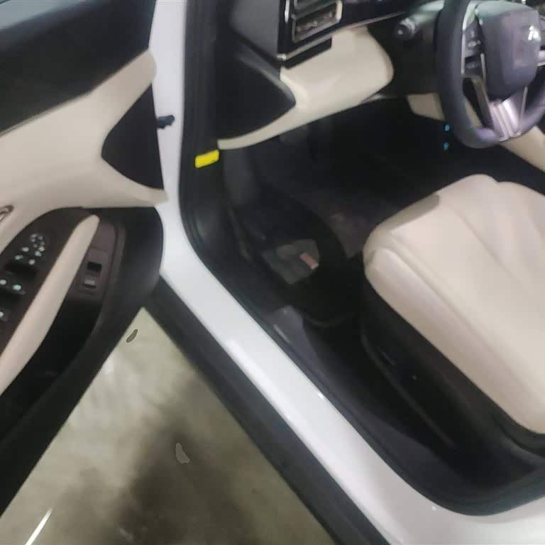Qin L 2024 DM-i 80KM Beyond Edition Qin L 2024 DM-i 80KM Beyond Edition
