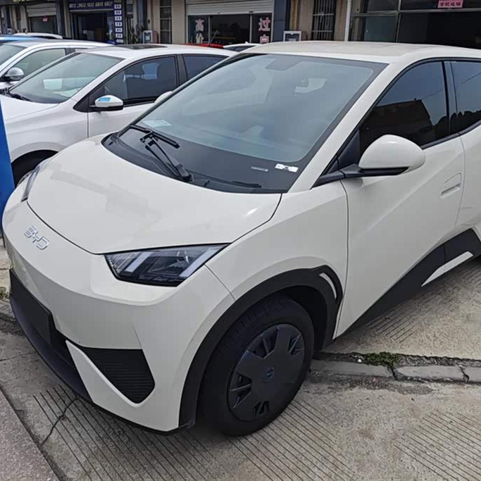 Seagull 2025 Smart Driving Edition 305km Vitality Edition Seagull 2025 Smart Driving Edition 305km Vitality Edition