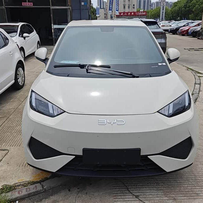 Seagull 2025 Smart Driving Edition 305km Vitality Edition Seagull 2025 Smart Driving Edition 305km Vitality Edition
