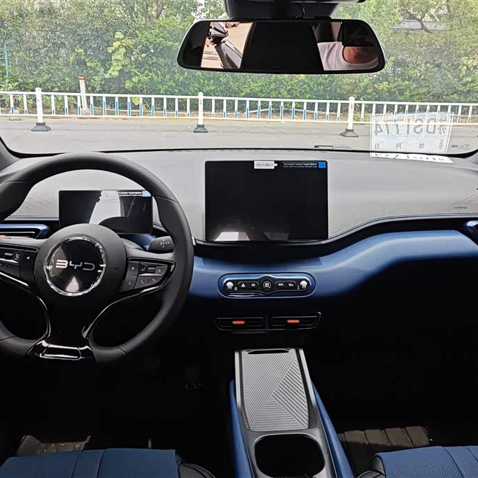 Seagull 2025 Smart Driving Edition 305km Vitality Edition Seagull 2025 Smart Driving Edition 305km Vitality Edition