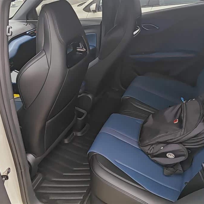 Seagull 2025 Smart Driving Edition 305km Vitality Edition Seagull 2025 Smart Driving Edition 305km Vitality Edition