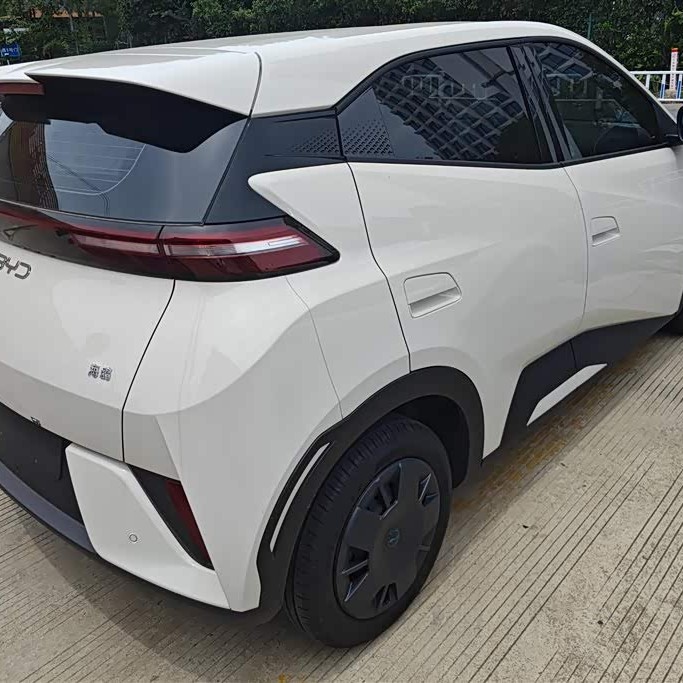 Seagull 2025 Smart Driving Edition 305km Vitality Edition Seagull 2025 Smart Driving Edition 305km Vitality Edition