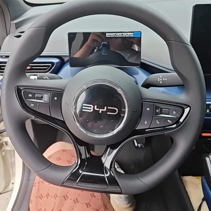 Seagull 2025 Smart Driving Edition 305km Vitality Edition Seagull 2025 Smart Driving Edition 305km Vitality Edition