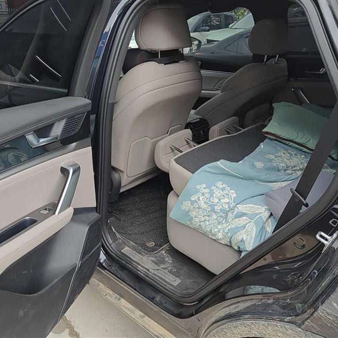 Tang New Energy 2025 DM-i 115KM Premium Edition Tang New Energy 2025 DM-i 115KM Premium Edition