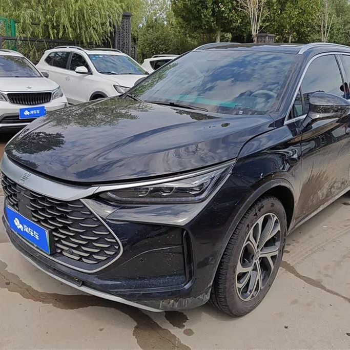 Tang New Energy 2025 DM-i 115KM Premium Edition Tang New Energy 2025 DM-i 115KM Premium Edition