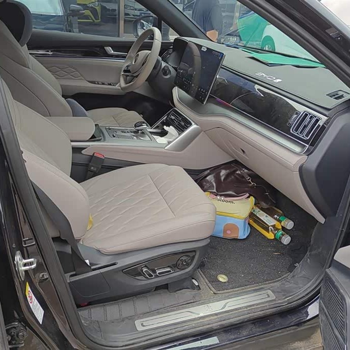 Tang New Energy 2025 DM-i 115KM Premium Edition Tang New Energy 2025 DM-i 115KM Premium Edition