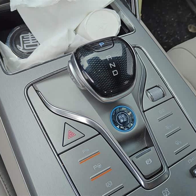 Tang New Energy 2025 DM-i 115KM Premium Edition Tang New Energy 2025 DM-i 115KM Premium Edition