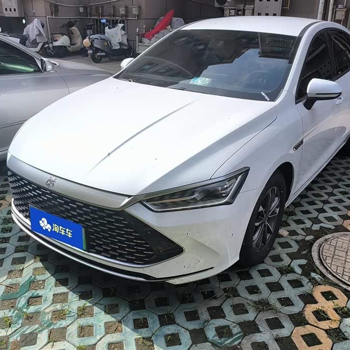 Qin PLUS 2024 Honor Edition DM-i 55KM Beyond Edition