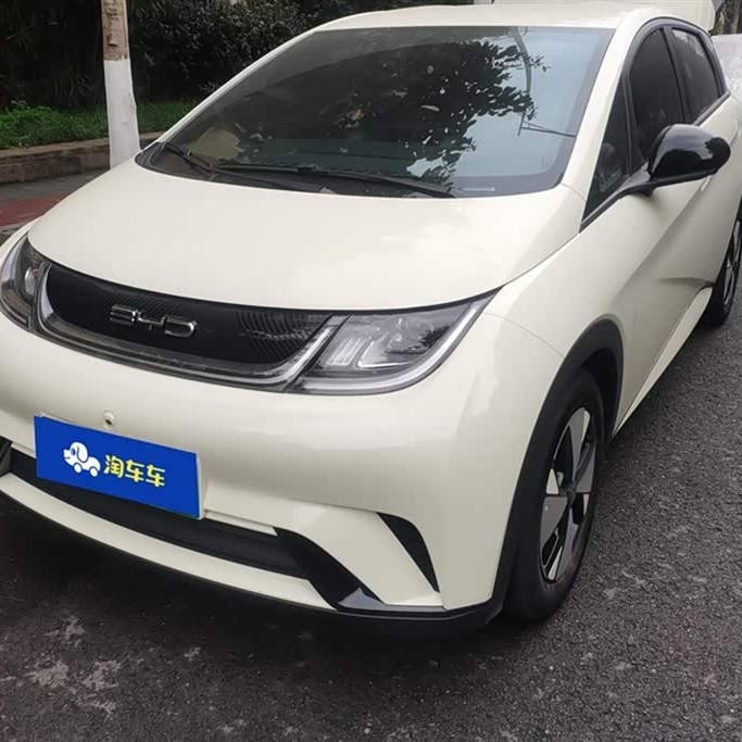 Dolphin 2023 420km Freedom Edition Dolphin 2023 420km Freedom Edition