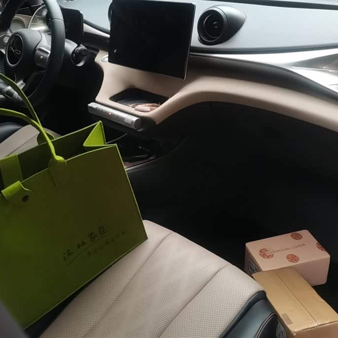 Dolphin 2023 420km Freedom Edition Dolphin 2023 420km Freedom Edition
