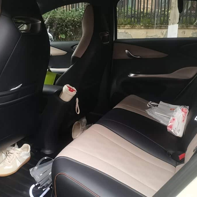 Dolphin 2023 420km Freedom Edition Dolphin 2023 420km Freedom Edition