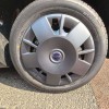 Seagull 2025 305km Vitality Edition