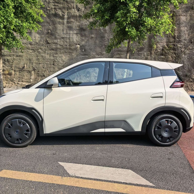 Seagull 2025 305km Vitality Edition Seagull 2025 305km Vitality Edition
