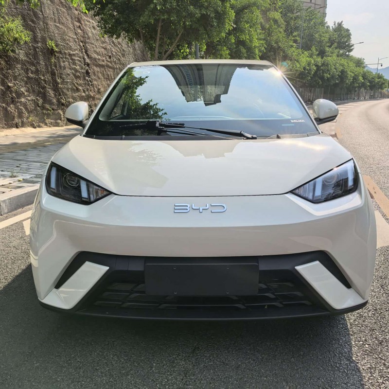 Seagull 2025 305km Vitality Edition Seagull 2025 305km Vitality Edition