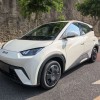 Seagull 2025 305km Vitality Edition